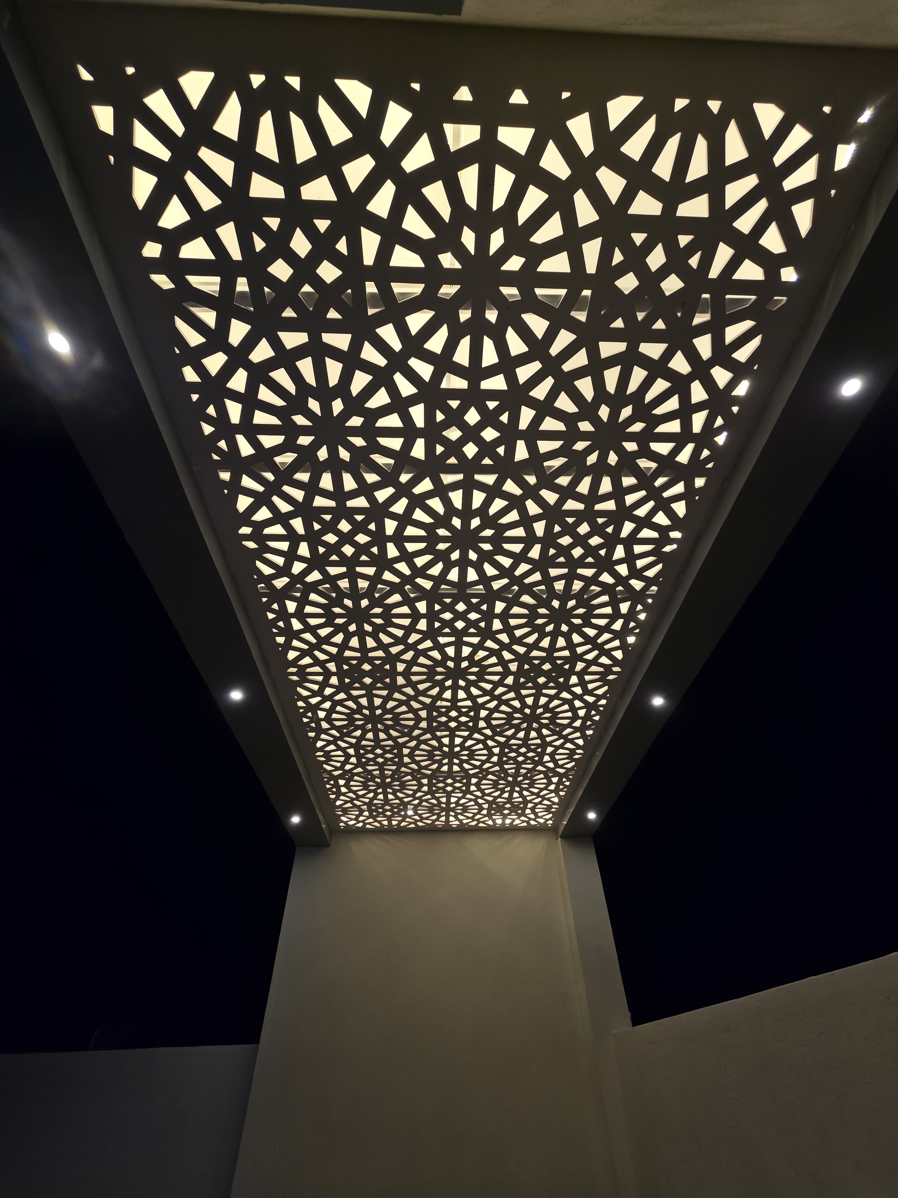 Project showcase 14